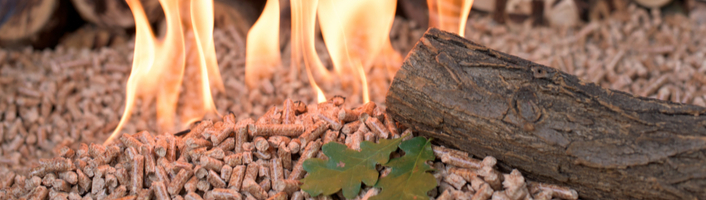 Allumer un feu avec une bûche de bois compressé - Proxi-TotalEnergies