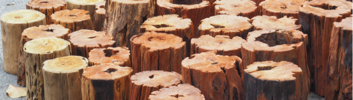 Conseils pour stocker correctement le bois de chauffage et à propos des  essences de bois convenant le mieux pour être brûlées