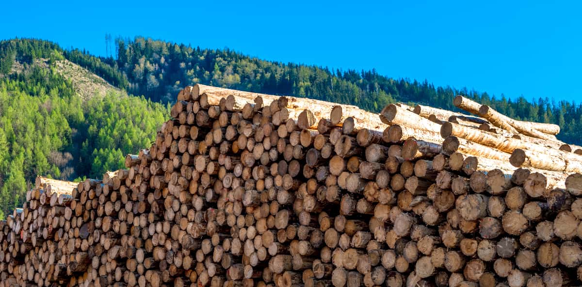 Chauffage au bois : quels gestes adopter pour diminuer les émissions de  particules fines ? 