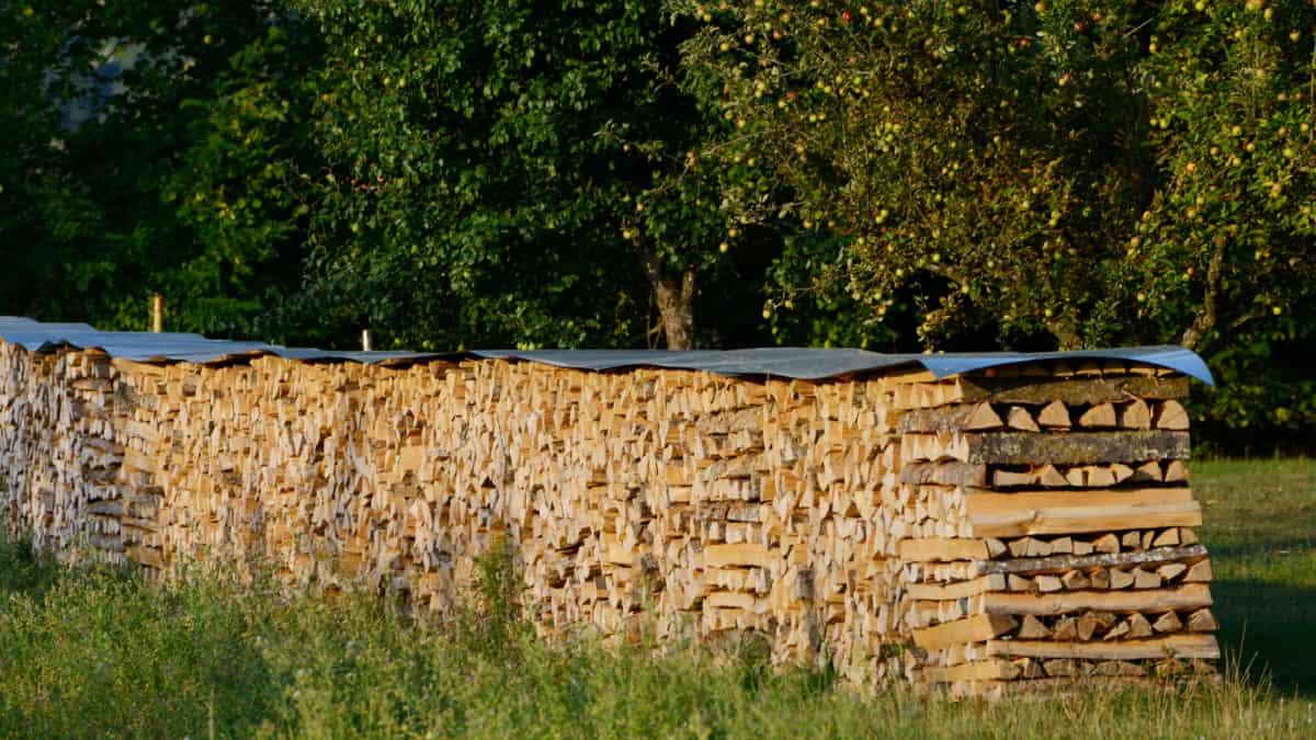 Conservation optimale de votre bois de chauffage