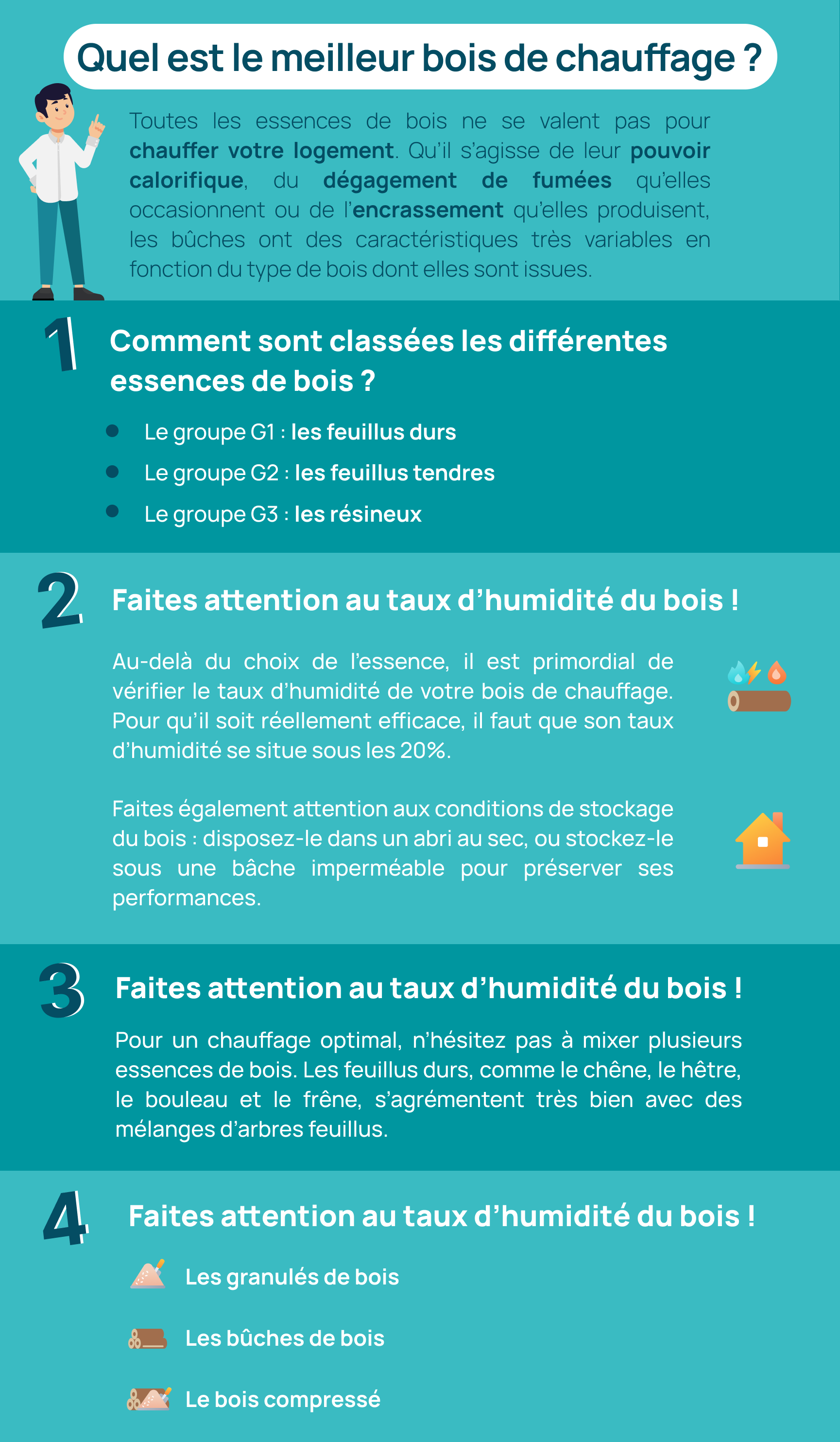 infographie sur le meilleur bois de chauffage